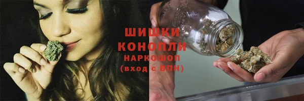 стаф Карпинск