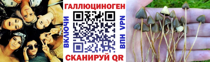Псилоцибиновые грибы мухоморы Купить закладки Выкса